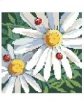 (image for) Daisies